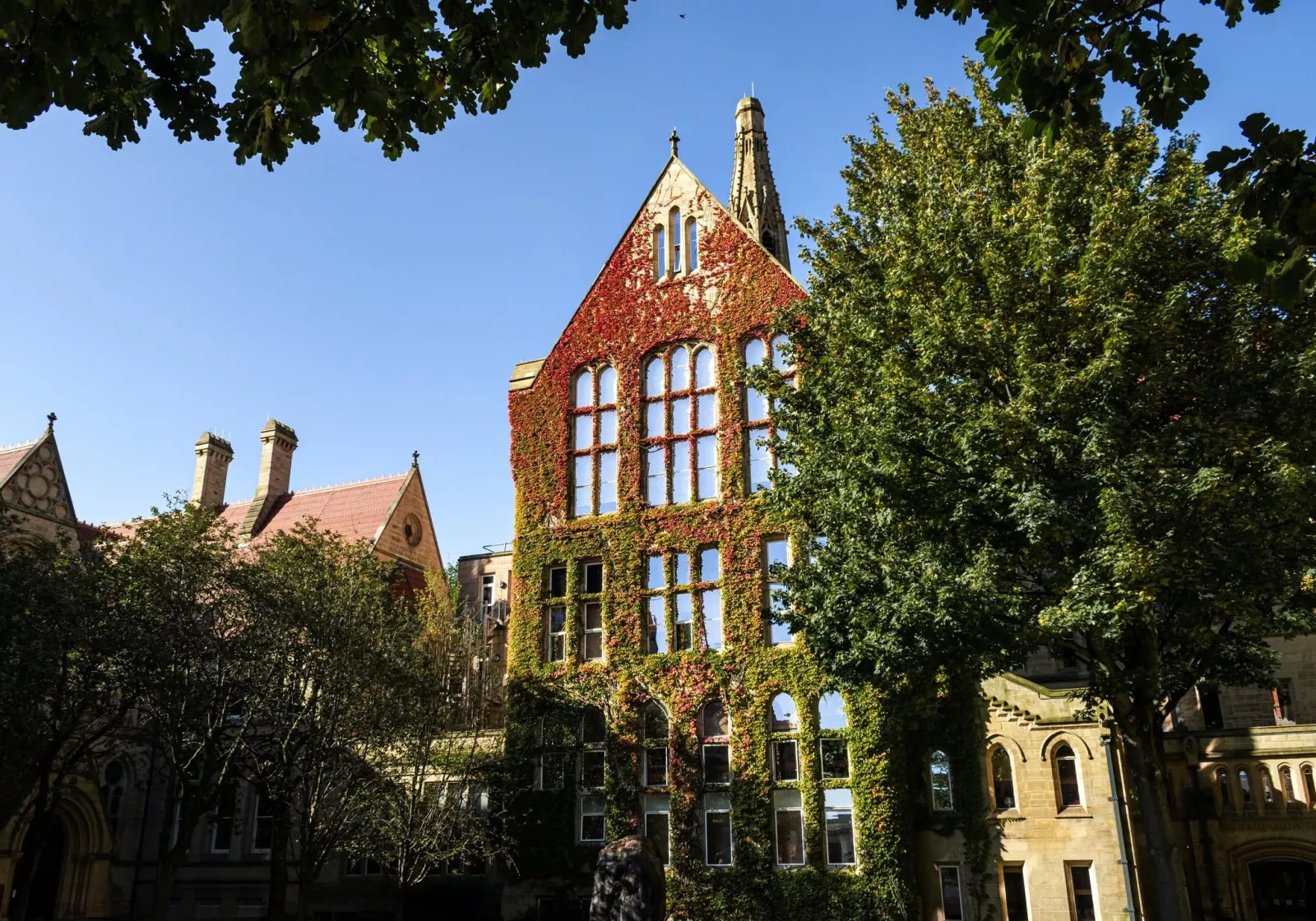 University of Manchester: вступ, вартість навчання і рейтинг 