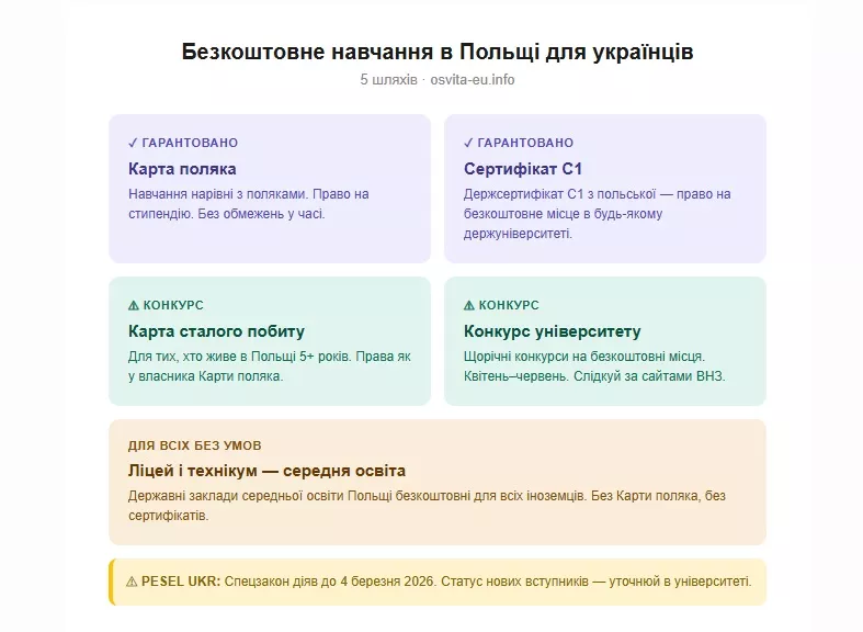 Безкоштовне навчання в Польщі для українців: повний огляд